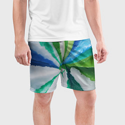 Шорты спортивные мужские Радуга цветов мальдивских островов, цвет: 3D-принт — фото 2
