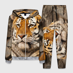 Костюм мужской Мудрый тигр, цвет: 3D-меланж