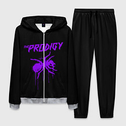 Мужской костюм The Prodigy: Violet Ant
