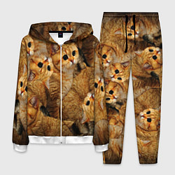Мужской костюм КОТЯТУШКИ