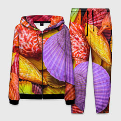 Мужской костюм Разноцветные ракушки multicolored seashells