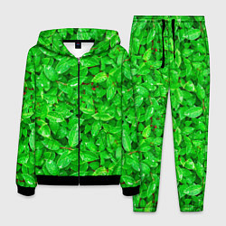 Мужской костюм Зелёные листья - текстура