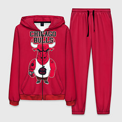 Мужской костюм Chicago bulls