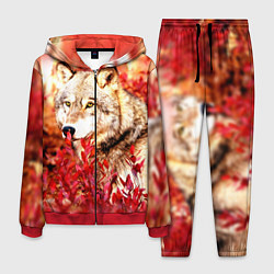 Костюм мужской Осенний волк, цвет: 3D-красный