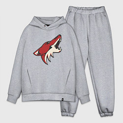 Мужской костюм оверсайз Phoenix Coyotes, цвет: меланж