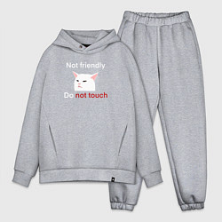 Мужской костюм оверсайз Not friendly, do not touch, текст с мемным котом, цвет: меланж