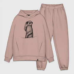 Мужской костюм оверсайз Сурикат смотрит, цвет: пыльно-розовый