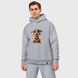 Мужской костюм оверсайз Сурикат в стойке, цвет: меланж — фото 2