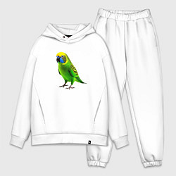 Мужской костюм оверсайз Зеленый попугай