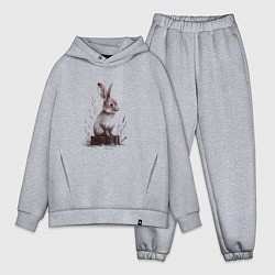 Мужской костюм оверсайз Кролик на пеньке, цвет: меланж