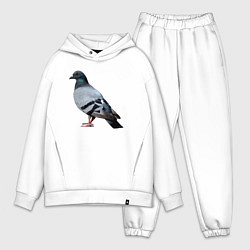 Мужской костюм оверсайз Голубь сизый