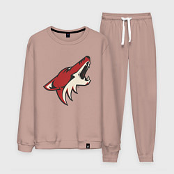 Мужской костюм Phoenix Coyotes