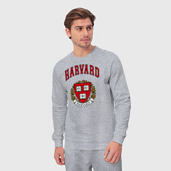 Костюм хлопковый мужской Harvard university, цвет: меланж — фото 2