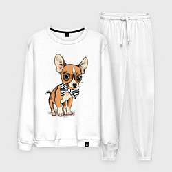 Костюм хлопковый мужской Чихуахуа с бабочкой, цвет: белый