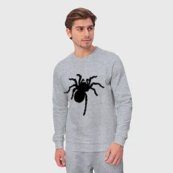 Костюм хлопковый мужской Черный паук, цвет: меланж — фото 2