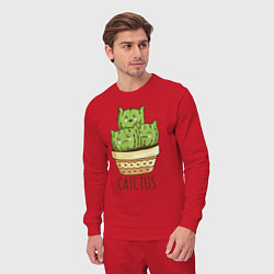 Костюм хлопковый мужской Кактус Котики, цвет: красный — фото 2