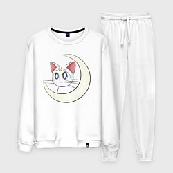 Мужской костюм Artemis