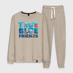 Мужской костюм True Blue Friends