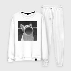 Костюм хлопковый мужской ЧБ Pop Cat, цвет: белый