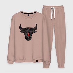 Мужской костюм Bulls - Jordan