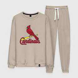 Мужской костюм St Louis Cardinals - baseball team