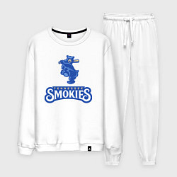 Мужской костюм Tennessee smokies - baseball team