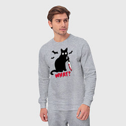 Костюм хлопковый мужской What? Кот маньяк, цвет: меланж — фото 2
