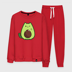 Костюм хлопковый мужской Avo cat o подмигивает, цвет: красный