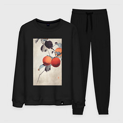 Костюм хлопковый мужской Nuthatcher atop Persimmons, цвет: черный