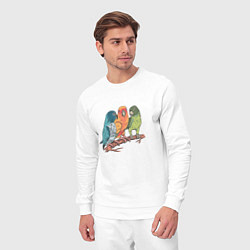 Костюм хлопковый мужской Три волнистых попугая на ветке, цвет: белый — фото 2
