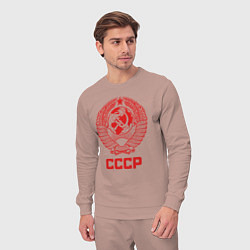 Костюм хлопковый мужской Герб СССР: Советский союз, цвет: пыльно-розовый — фото 2