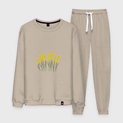 Костюм хлопковый мужской Желтые полевые цветы, цвет: миндальный