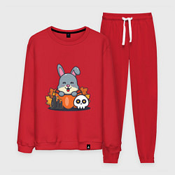 Мужской костюм Rabbit halloween