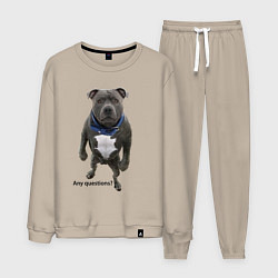 Мужской костюм Вопросов нет - питбуль - мощь