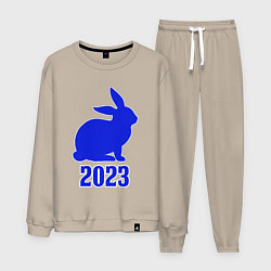 Костюм хлопковый мужской 2023 силуэт кролика синий, цвет: миндальный