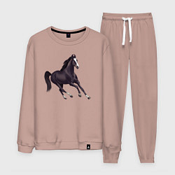 Костюм хлопковый мужской Марварская лошадь, цвет: пыльно-розовый