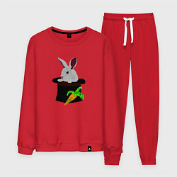 Костюм хлопковый мужской Кролик с морковкой в цилиндре, цвет: красный