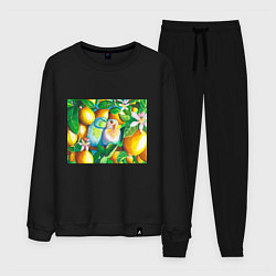 Костюм хлопковый мужской Попугаи в лимонах, цвет: черный