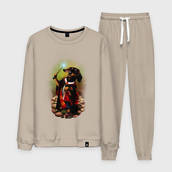 Костюм хлопковый мужской Такса Волшебник колдует, цвет: миндальный