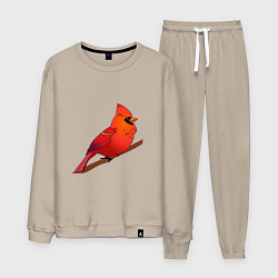 Костюм хлопковый мужской Птица красный кардинал, цвет: миндальный