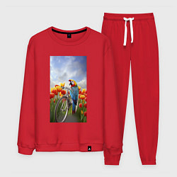 Костюм хлопковый мужской Попугай на велосипеде, цвет: красный