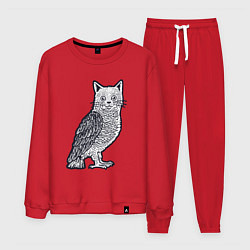 Костюм хлопковый мужской Кошка сова, цвет: красный