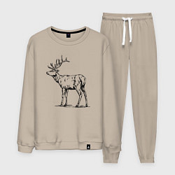 Костюм хлопковый мужской Олень сзади, цвет: миндальный