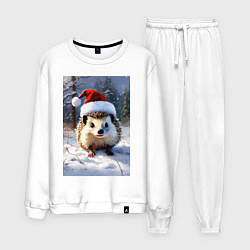 Мужской костюм Очаровательный ежик