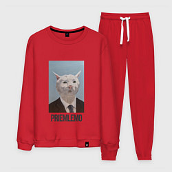 Костюм хлопковый мужской Приемлемо - кот мем в живописи, цвет: красный