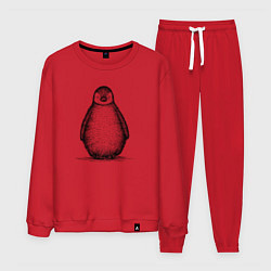 Костюм хлопковый мужской Пингвиненок спереди, цвет: красный