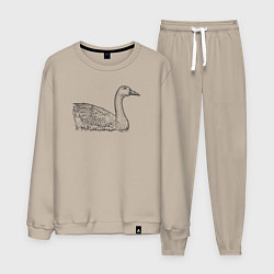 Костюм хлопковый мужской Гусь плавает, цвет: миндальный