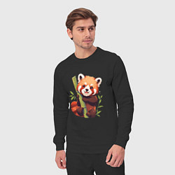 Костюм хлопковый мужской The Red Panda, цвет: черный — фото 2