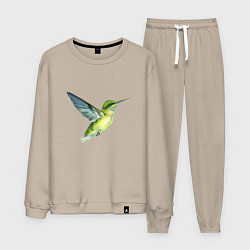 Мужской костюм Колибри зелёная