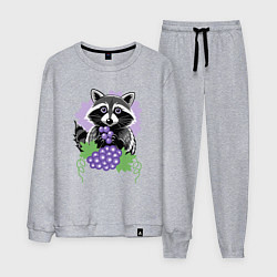 Мужской костюм Енот и виноград